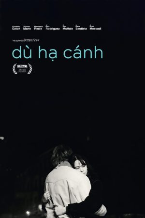 Poster phim Dù hạ cánh