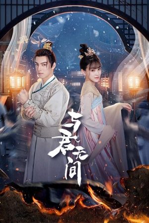 Poster phim Dữ Quân Vô Gian