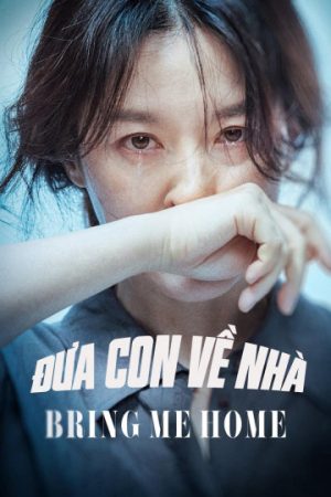 Poster phim Đưa Con Về Nhà