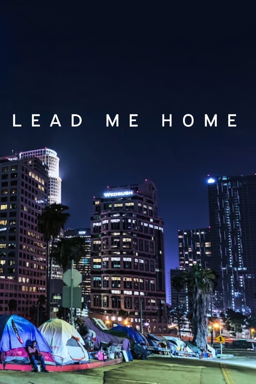 Poster phim Lead Me Home