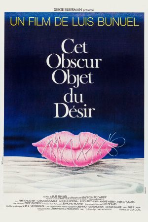 Poster phim Dục Vọng Mơ Hồ