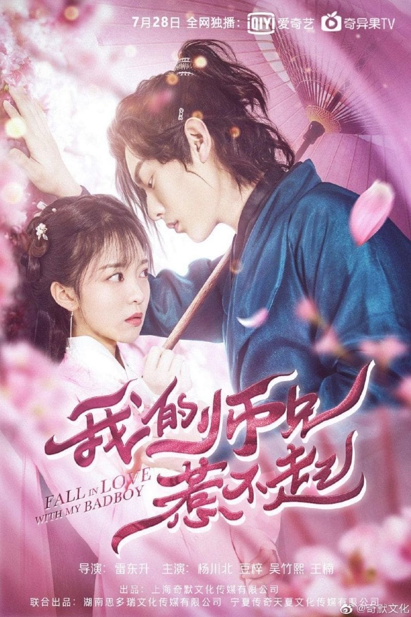 Poster phim Đừng Chọc Giận Sư Huynh Ta