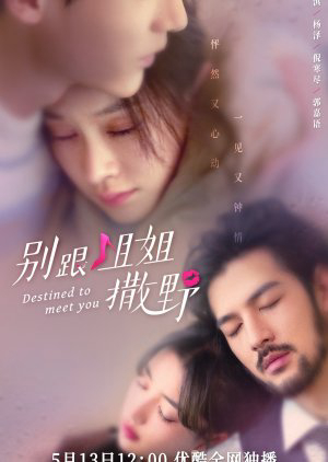 Poster phim Đừng Nhờn Với Chị