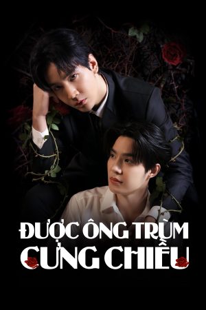 Poster phim Được Ông Trùm Cưng Chiều