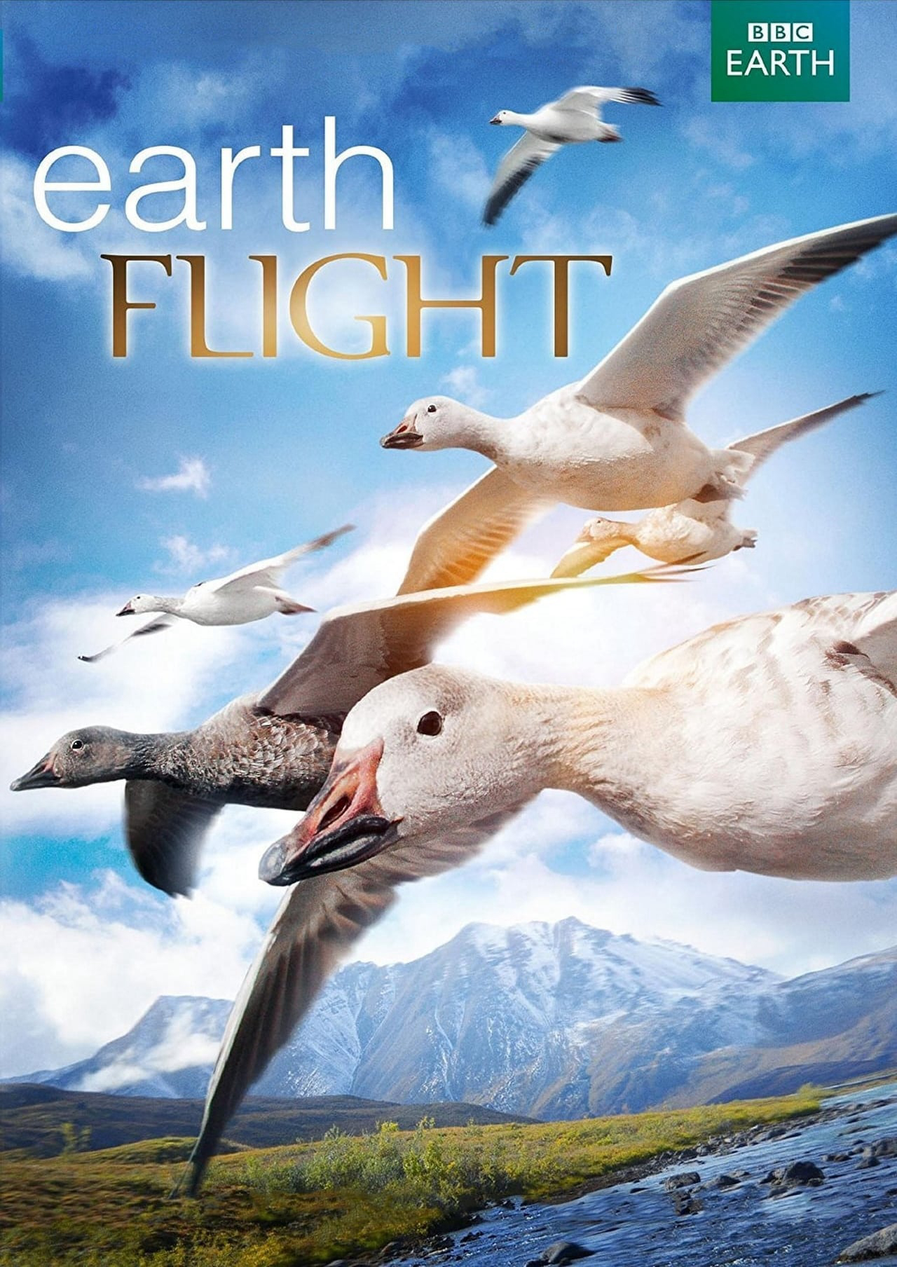 Poster phim Earthflight