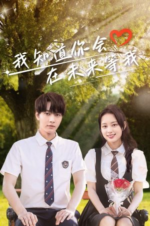 Poster phim Em Biết Anh Sẽ Đợi Em Ở Tương Lai