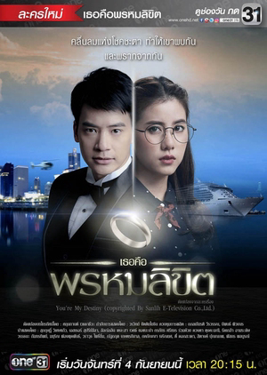 Poster phim Em là định mệnh của anh