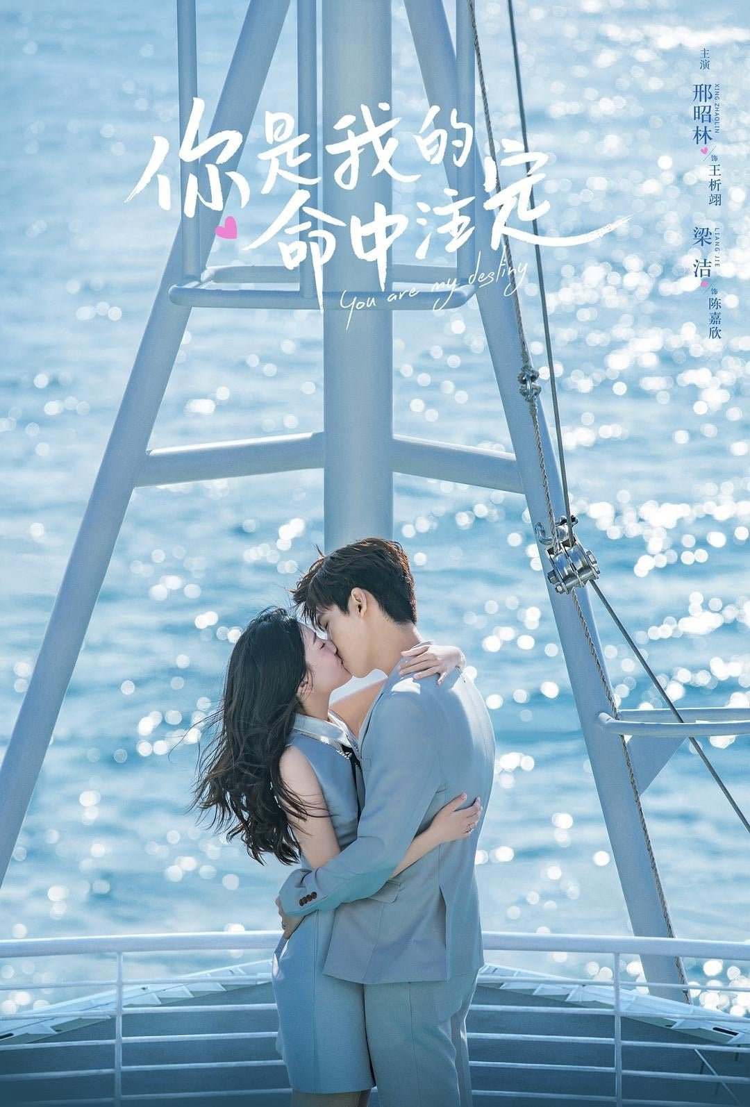 Poster phim Tôi, Là Định Mệnh Đời Em