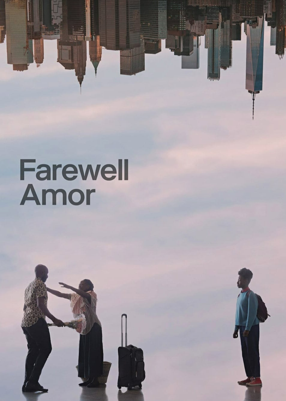 Poster phim Farewell Amor