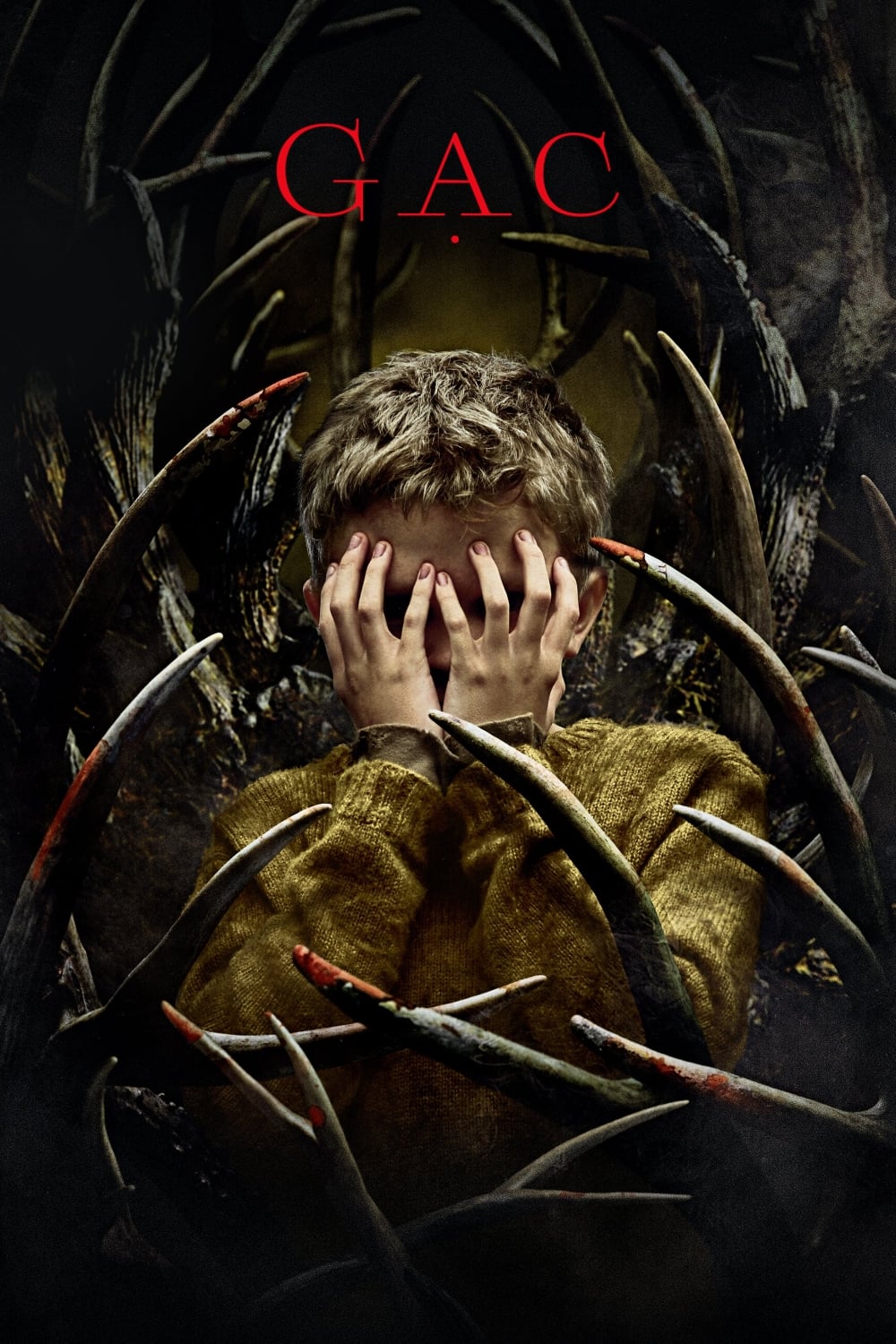 Poster phim Antlers