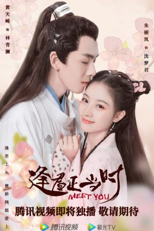Poster phim Gặp Chàng Đúng Lúc
