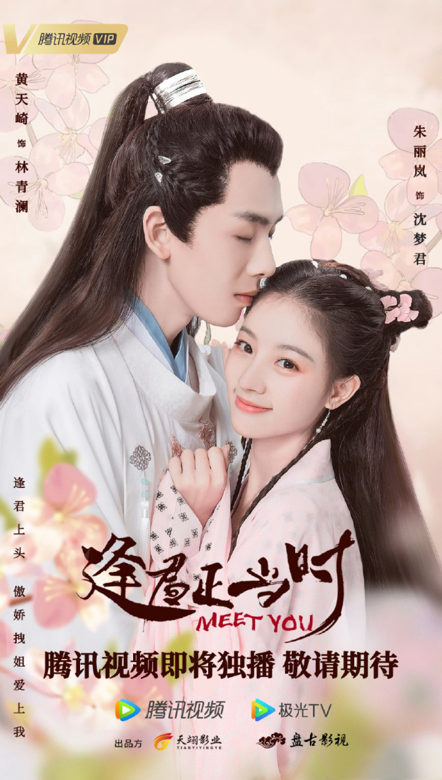 Poster phim Gặp Chàng Đúng Lúc
