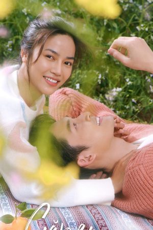 Poster phim Gặp Em Ngày Nắng