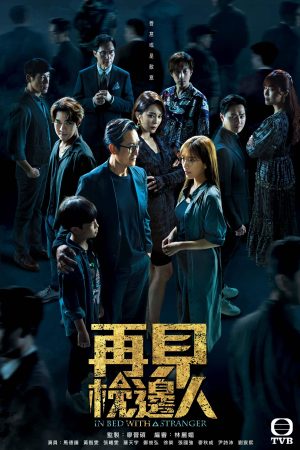 Poster phim Gặp Lại Người Bên Gối