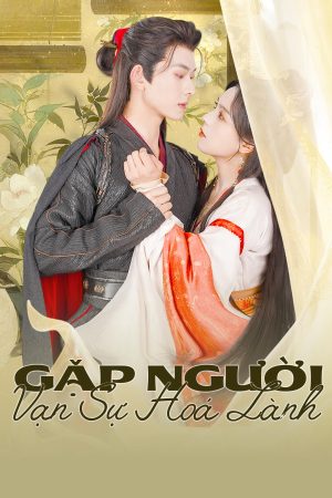 Poster phim Gặp Người Vạn Sự Hoá Lành