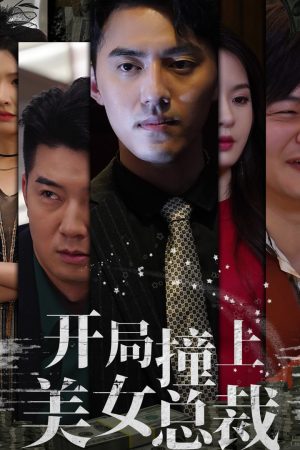 Poster phim Gặp Nữ CEO Xinh Đẹp