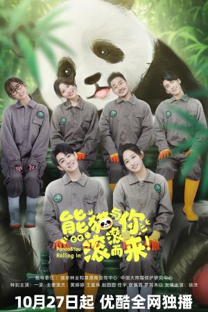 Poster phim Gấu Trúc Và Bạn, Lăn Đến Đây!