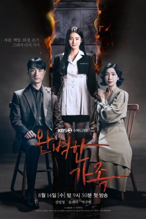 Poster phim Gia Đình Hoàn Hảo