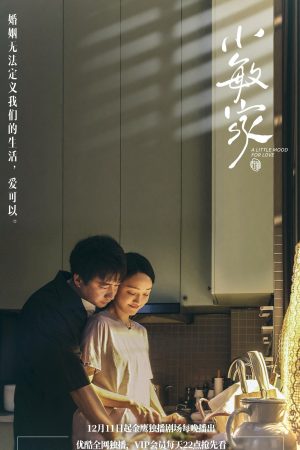 Poster phim Gia đình Tiểu Mẫn