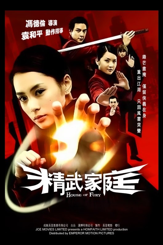 Poster phim Gia Đình Tinh Võ