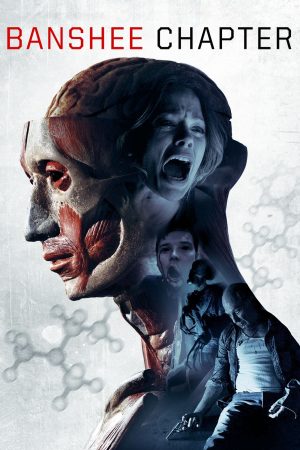 Poster phim Giải Mã Căn Phòng Bí Ẩn