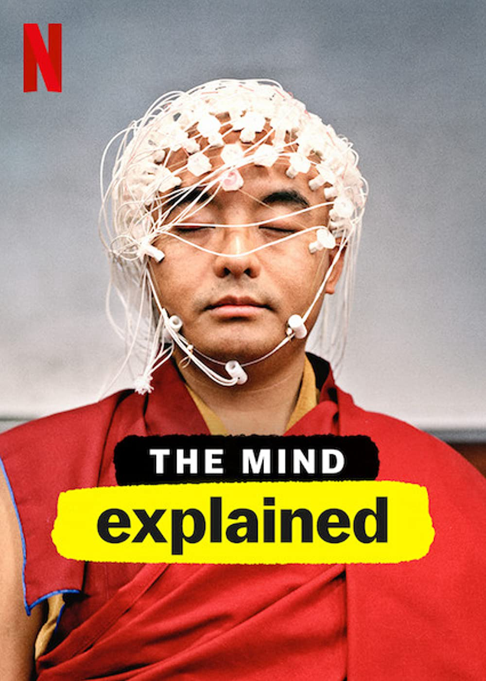 Poster phim Giải mã tâm trí (Phần 2)
