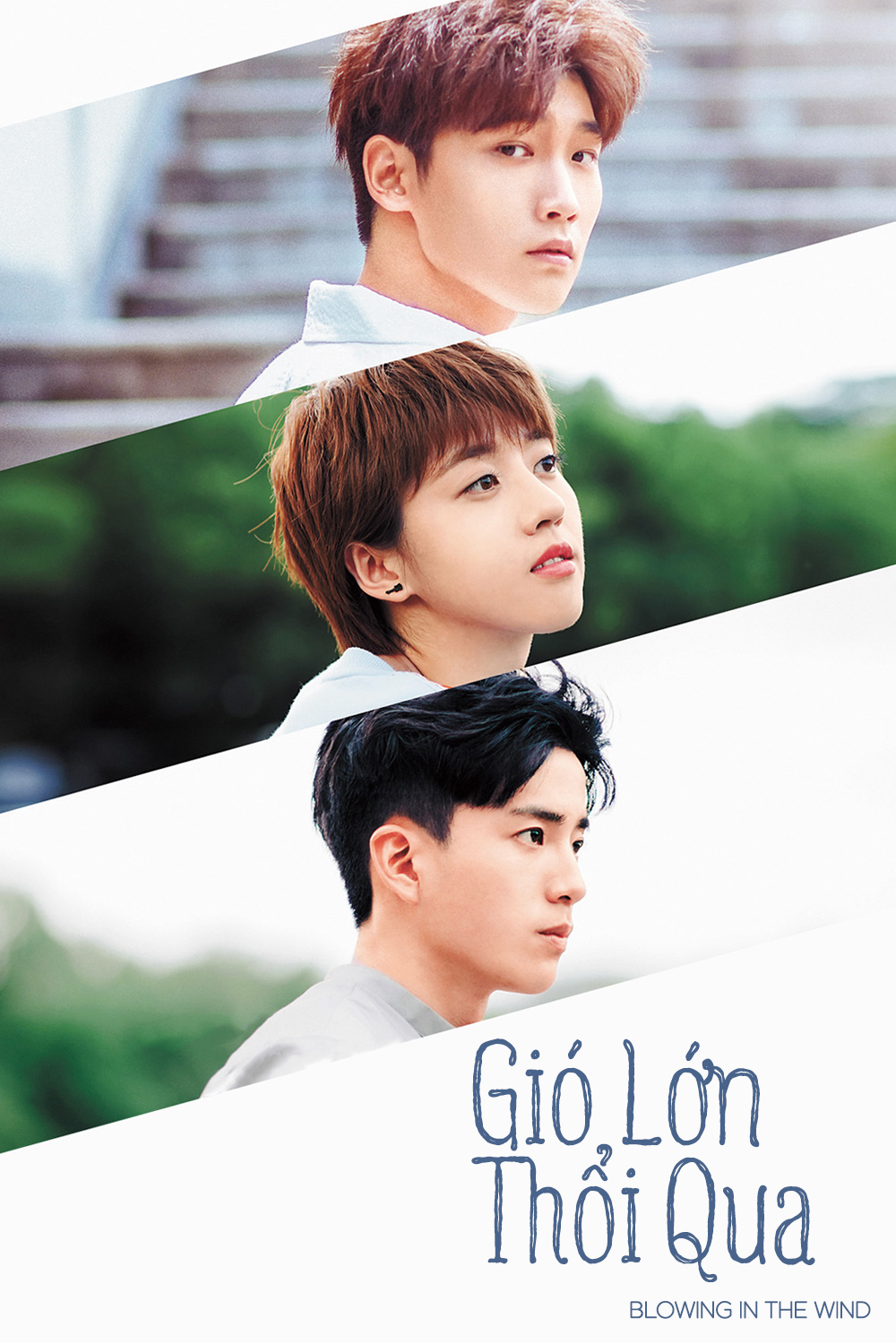 Poster phim Gió Lớn Thổi Qua