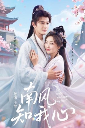 Poster phim Gió Nam Biết Lòng Tôi