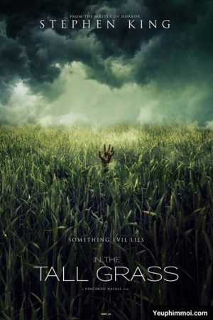 Poster phim Giữa bụi cỏ cao