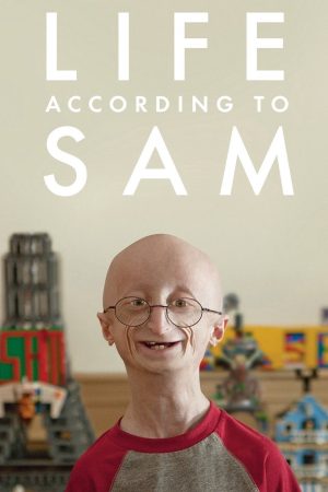 Poster phim Góc Nhìn Cuộc Sống Của Sam