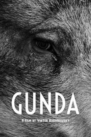 Poster phim Gunda