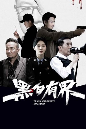 Poster phim Hắc Bạch Hữu Giới