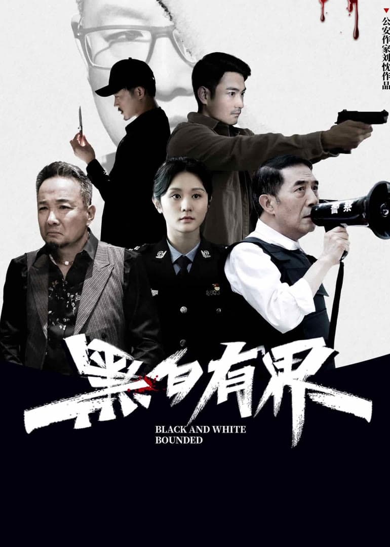 Poster phim Hắc Bạch Hữu Giới
