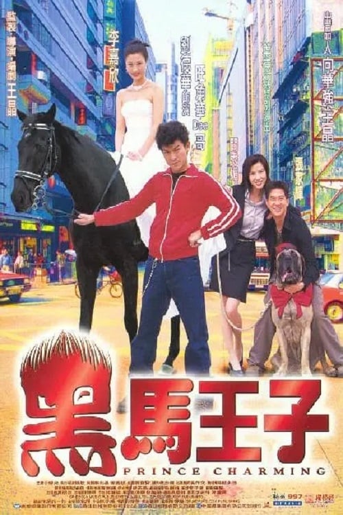 Poster phim Prince Charming