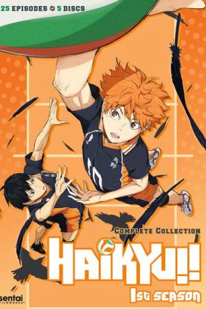 Poster phim Haikyu – Chàng khổng lồ tí hon (Phần 1)