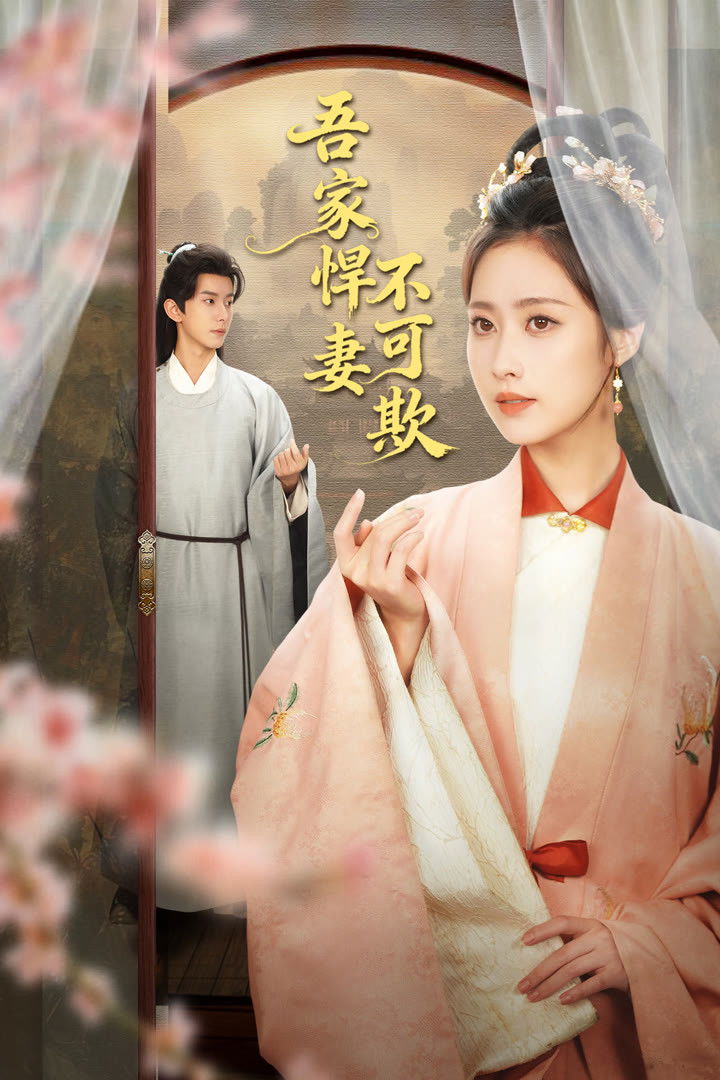 Poster phim Hãn Thê Nhà Tôi Không Dễ Chọc