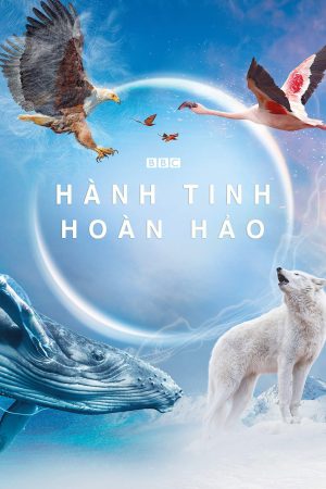 Poster phim Hành Tinh Hoàn Hảo