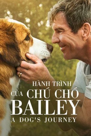 Poster phim Hành Trình Của Chú Chó Bailey