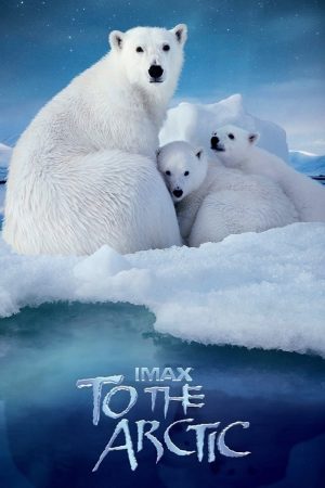 Poster phim Hành Trình Đến Bắc Cực