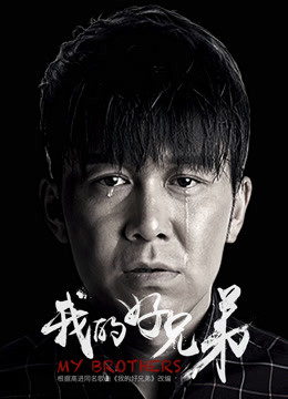 Poster phim Hảo huynh đệ của tôi