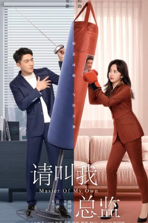 Poster phim Hãy Gọi Tôi Là Tổng Giám Đốc