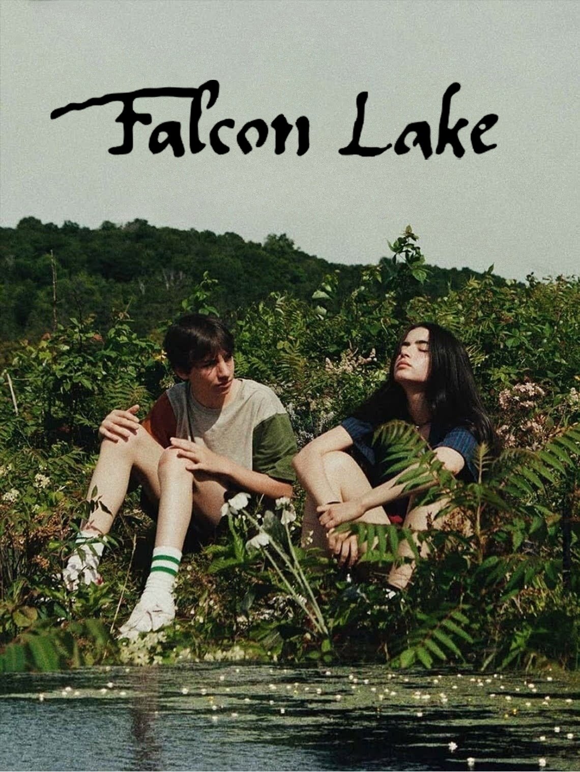 Poster phim Hồ Falcon