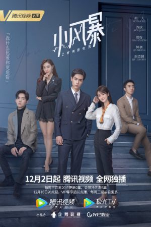 Poster phim Hoa Hồng Thời Gian Trong Gió