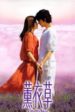 Poster phim Hoa Oải Hương (Oải Hương Tím)