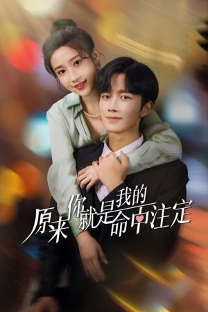 Poster phim Hoá Ra Em Là Định Mệnh Đời Anh