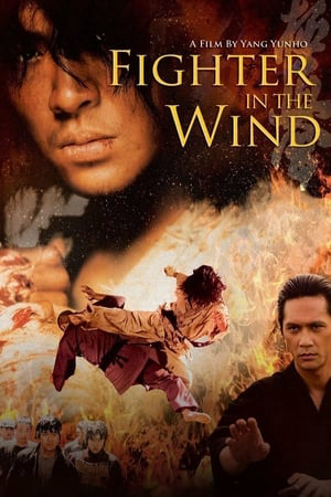 Poster phim Huyền thoại võ sĩ