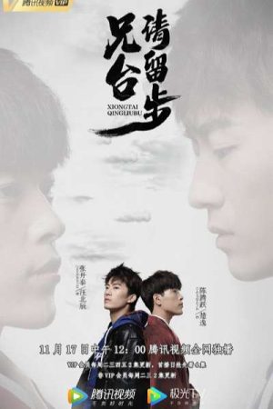 Poster phim Huynh Đài Xin Dừng Bước