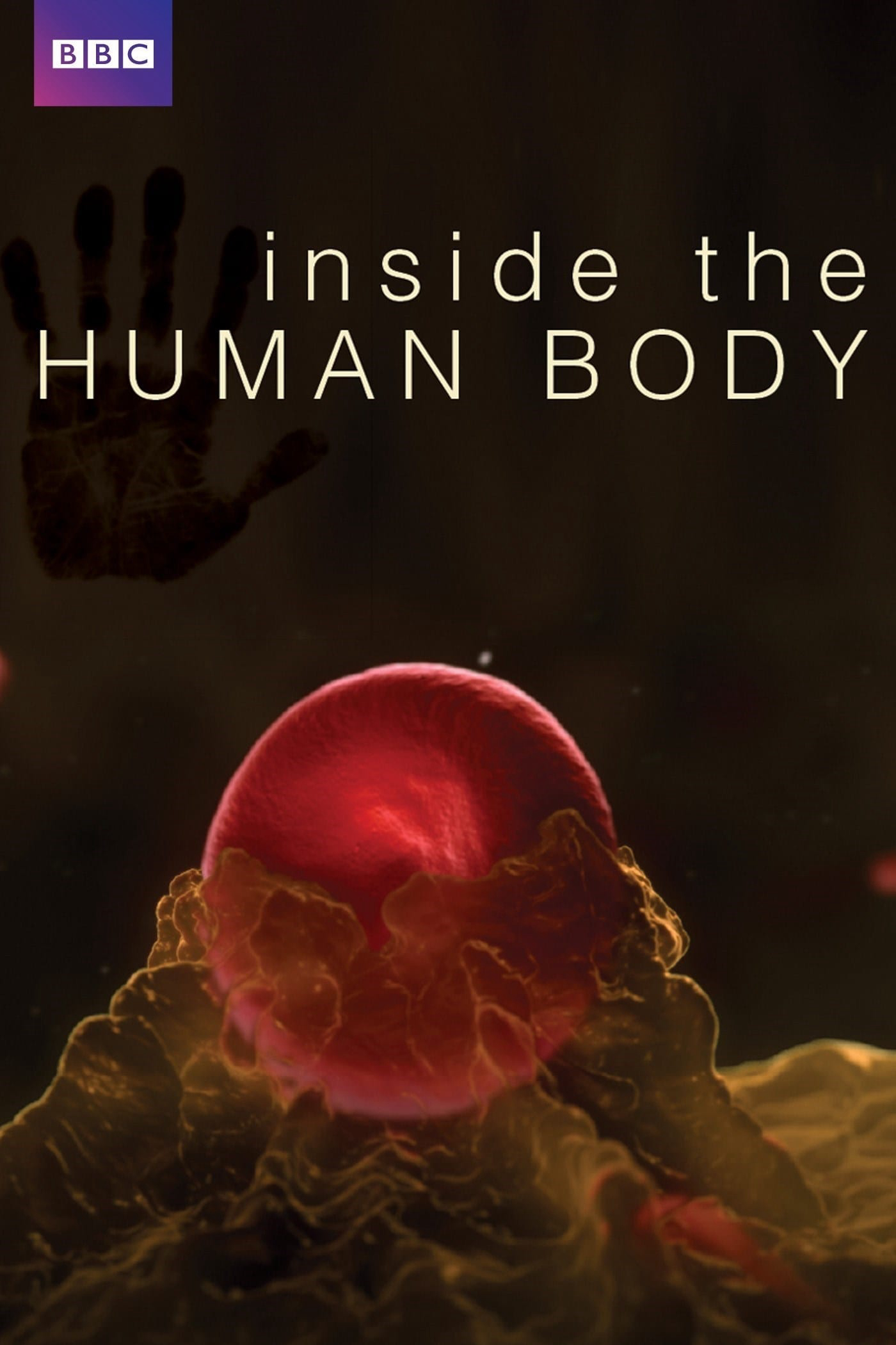 Poster phim Inside the Human Body