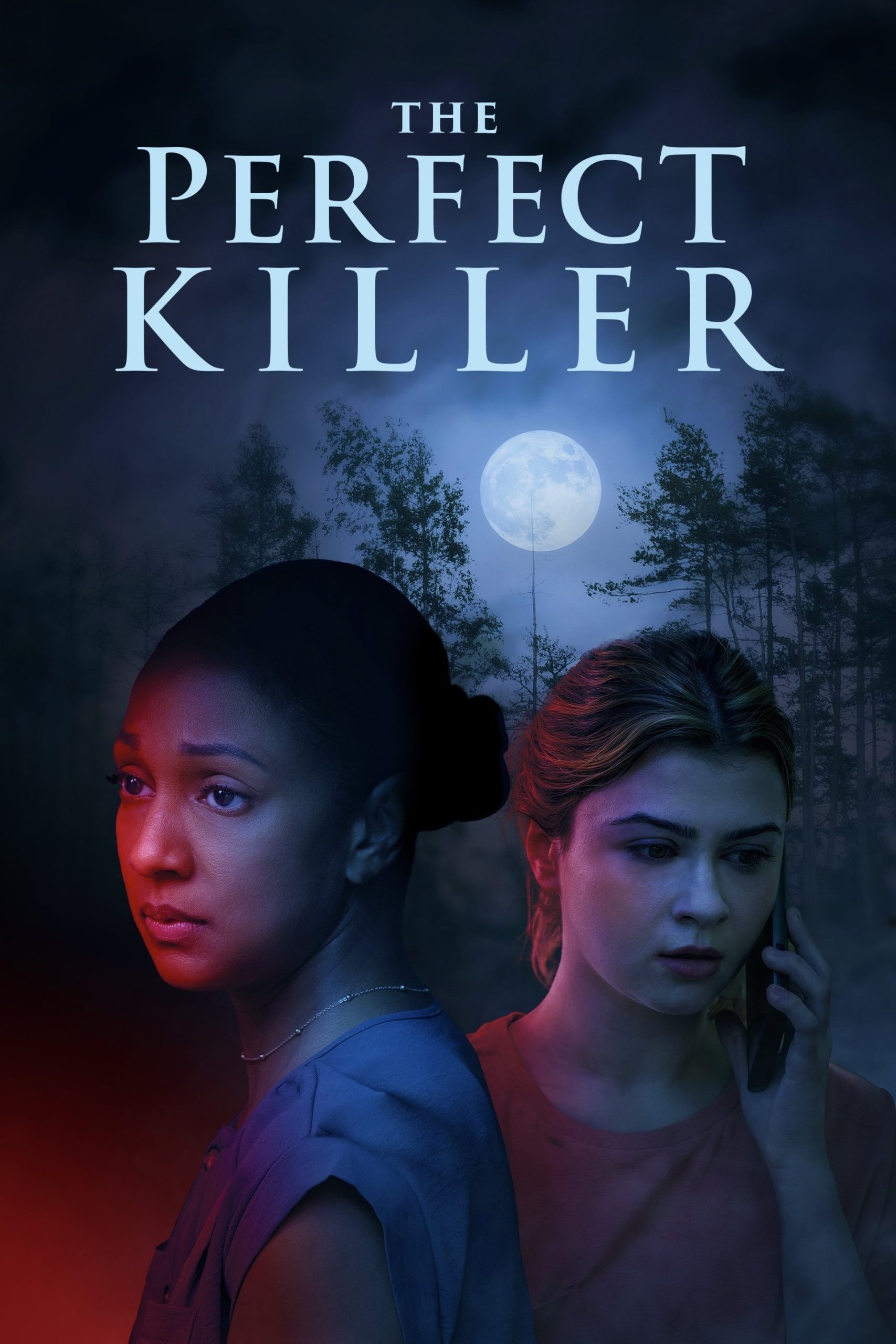 Poster phim The Perfect Killer