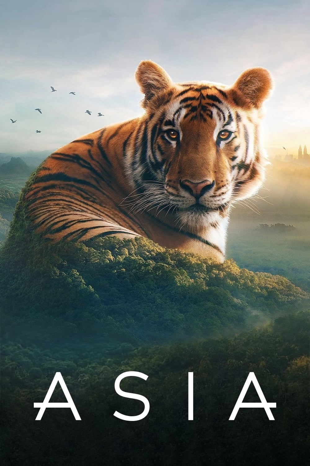 Poster phim Asia